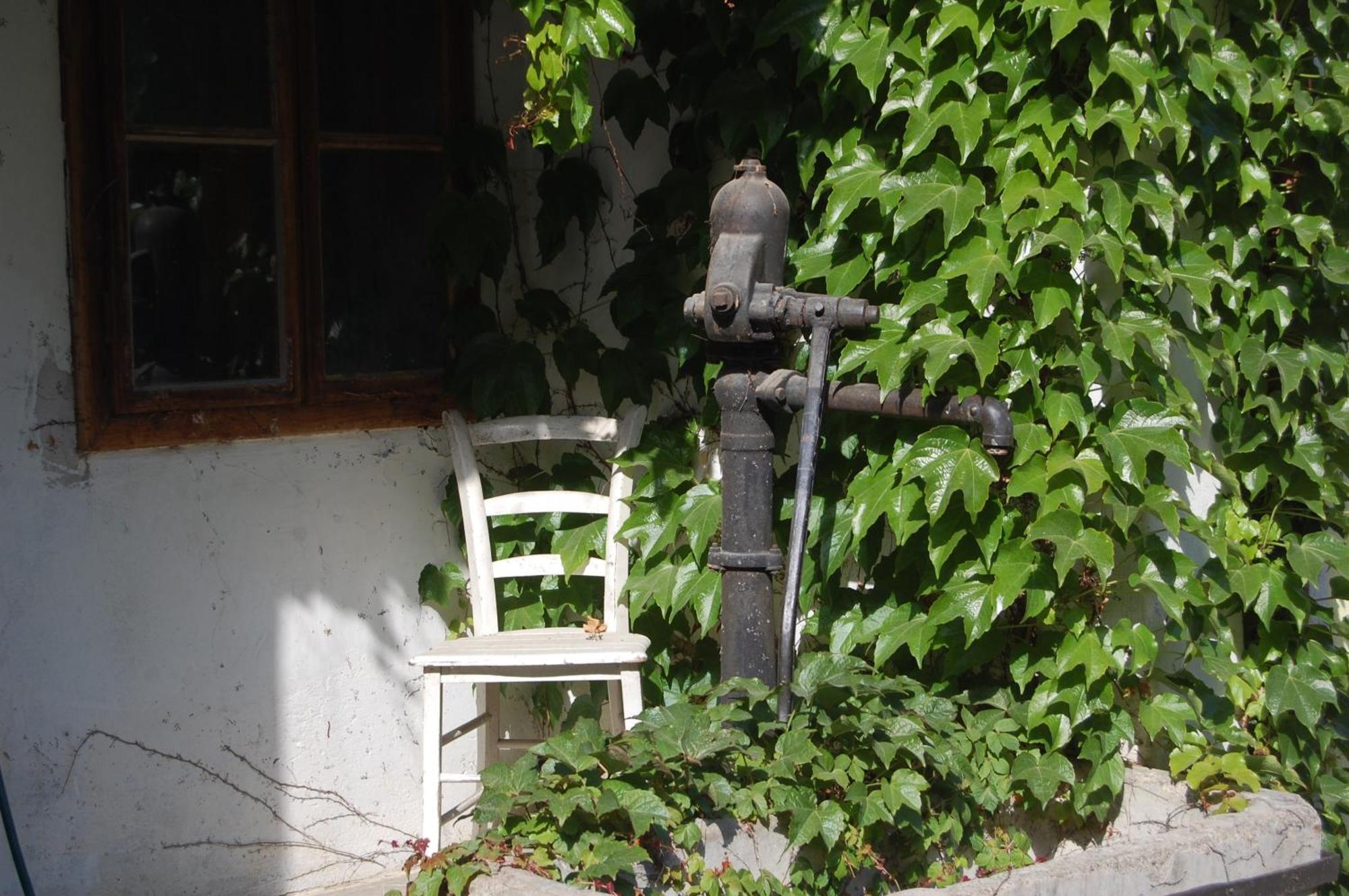 Hofgassl Zentgraf Bed & Breakfast Mörbisch am See Dış mekan fotoğraf
