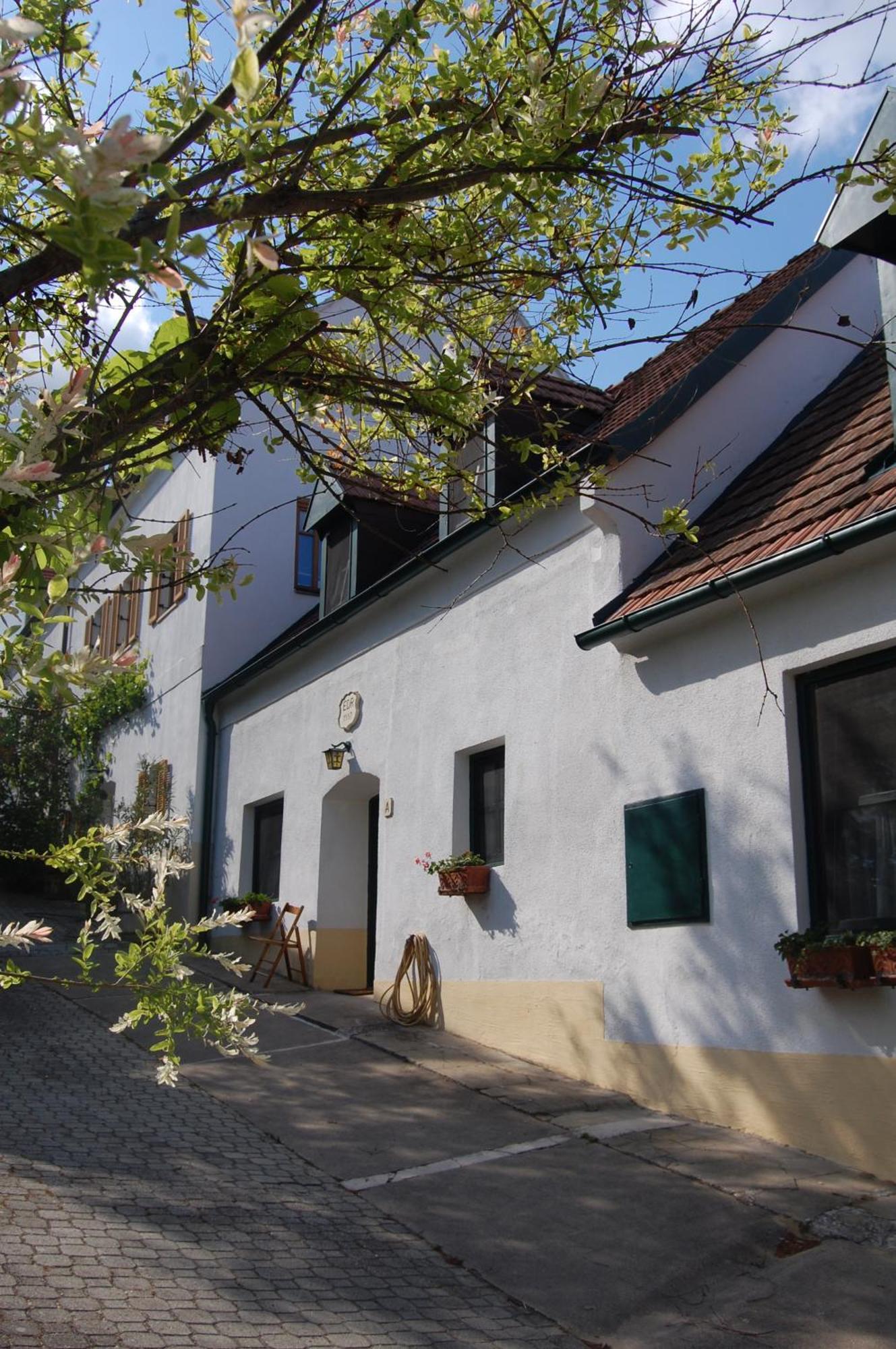 Hofgassl Zentgraf Bed & Breakfast Mörbisch am See Dış mekan fotoğraf