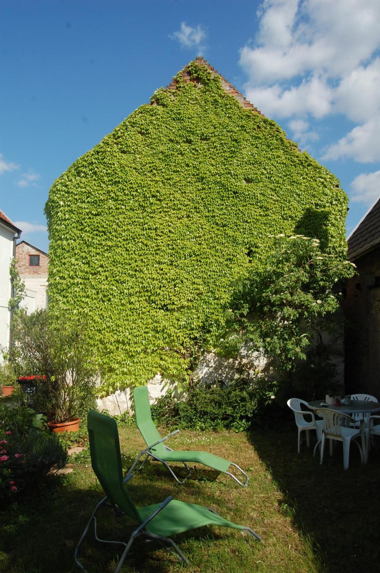 Hofgassl Zentgraf Bed & Breakfast Mörbisch am See Dış mekan fotoğraf