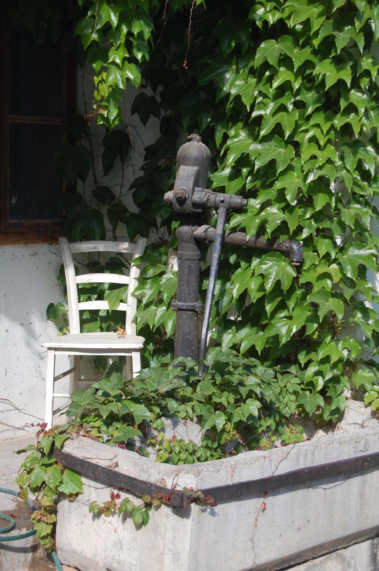 Hofgassl Zentgraf Bed & Breakfast Mörbisch am See Dış mekan fotoğraf