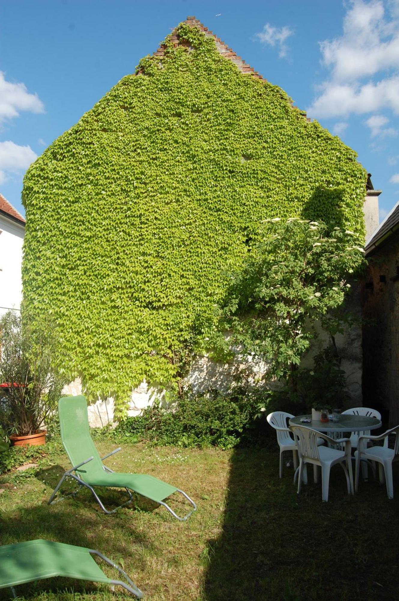 Hofgassl Zentgraf Bed & Breakfast Mörbisch am See Dış mekan fotoğraf